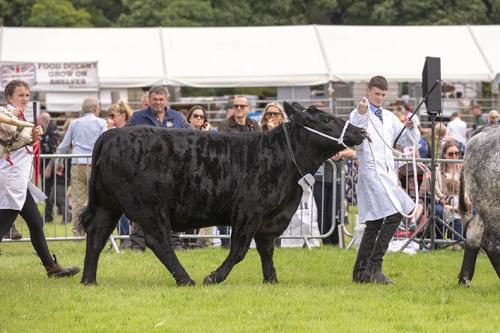 Royal Lancs Show 21072024 749