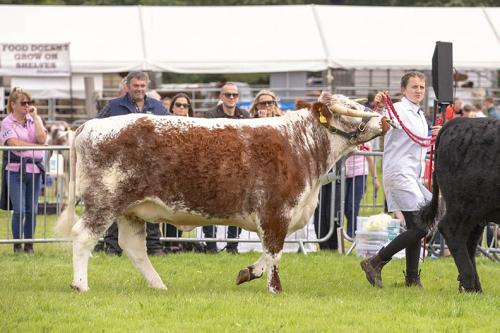 Royal Lancs Show 21072024 750