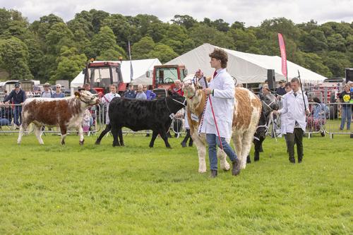 Royal Lancs Show 21072024 751