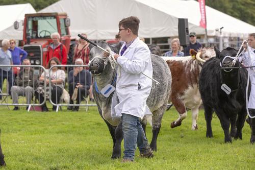 Royal Lancs Show 21072024 752