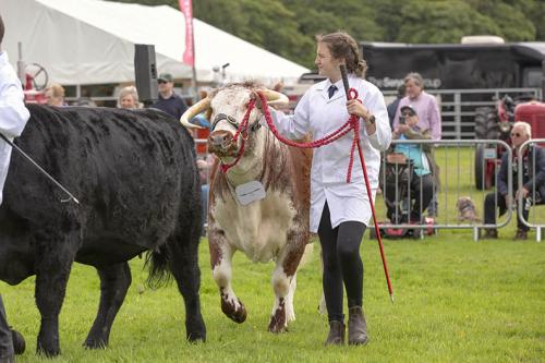 Royal Lancs Show 21072024 753