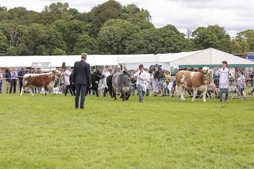 Royal Lancs Show 21072024 754