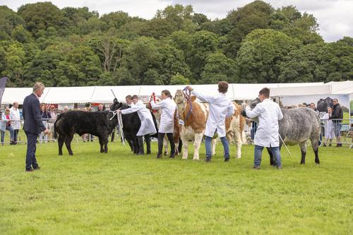 Royal Lancs Show 21072024 756