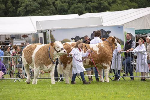 Royal Lancs Show 21072024 761