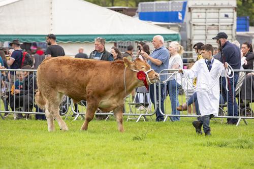 Royal Lancs Show 21072024 762