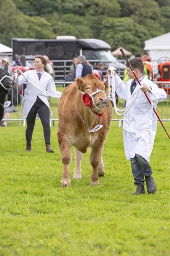 Royal Lancs Show 21072024 764