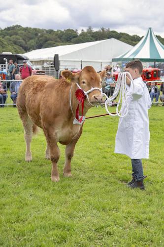 Royal Lancs Show 21072024 767