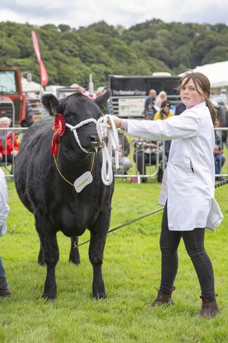 Royal Lancs Show 21072024 768