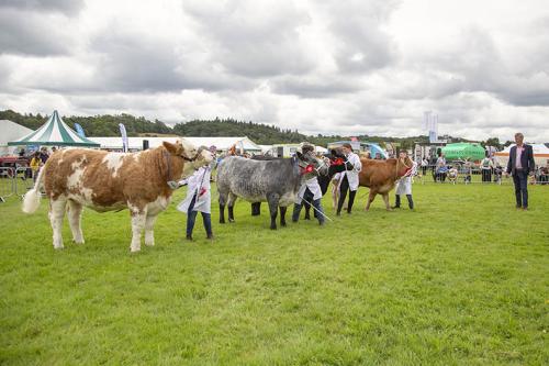 Royal Lancs Show 21072024 771