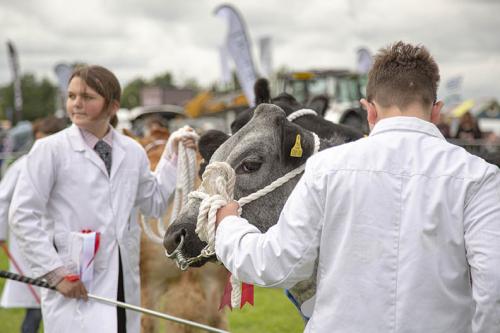 Royal Lancs Show 21072024 775
