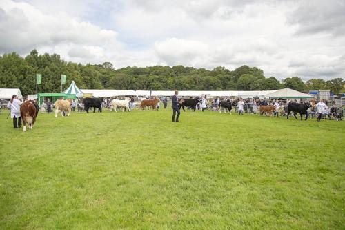 Royal Lancs Show 21072024 778