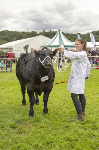 Royal Lancs Show 21072024 779