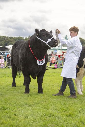 Royal Lancs Show 21072024 781