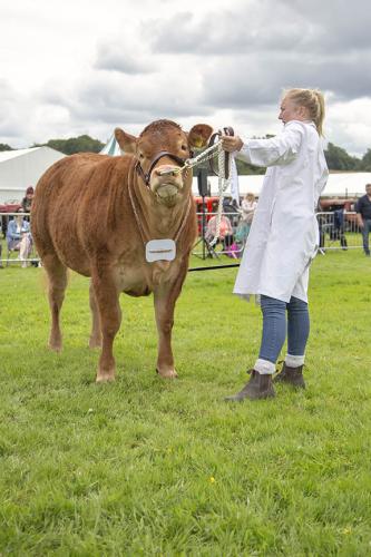 Royal Lancs Show 21072024 782