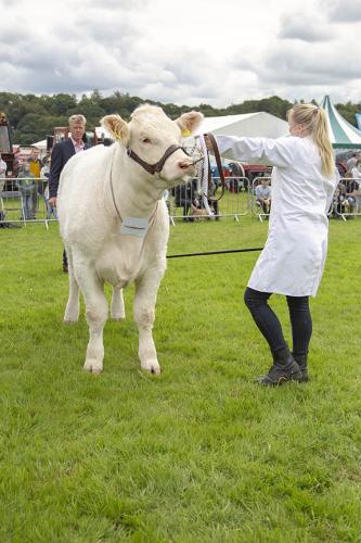 Royal Lancs Show 21072024 783