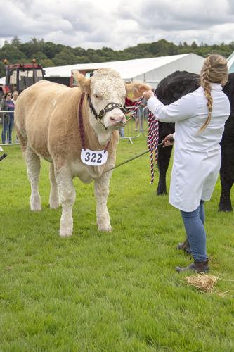 Royal Lancs Show 21072024 785
