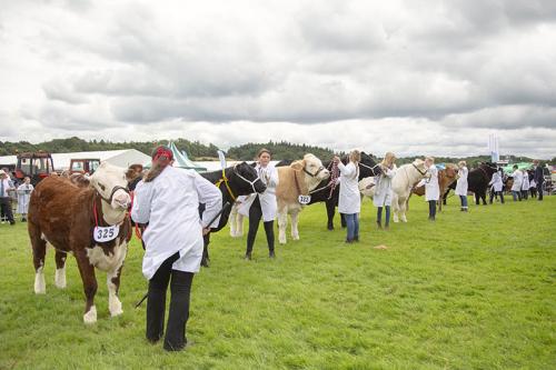 Royal Lancs Show 21072024 786