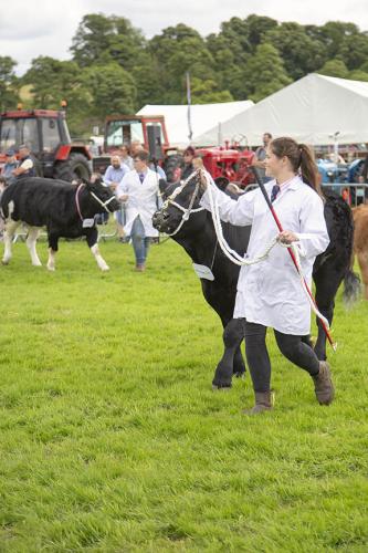 Royal Lancs Show 21072024 787