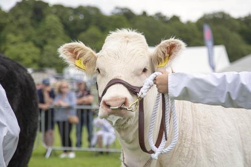 Royal Lancs Show 21072024 792