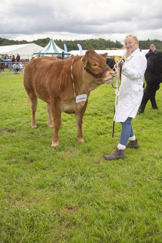 Royal Lancs Show 21072024 797