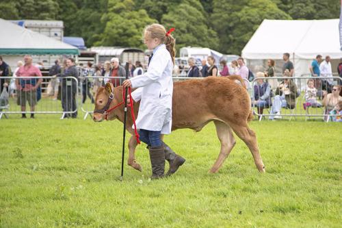 Royal Lancs Show 21072024 799