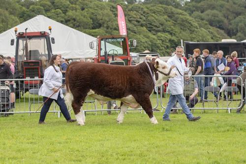 Royal Lancs Show 21072024 801