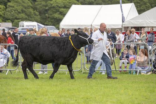 Royal Lancs Show 21072024 802