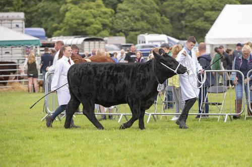 Royal Lancs Show 21072024 803
