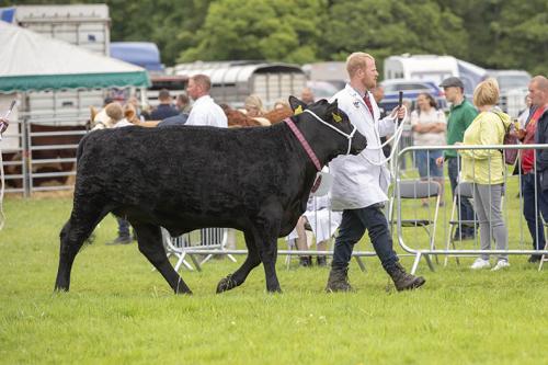 Royal Lancs Show 21072024 804