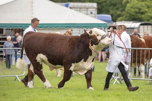 Royal Lancs Show 21072024 806
