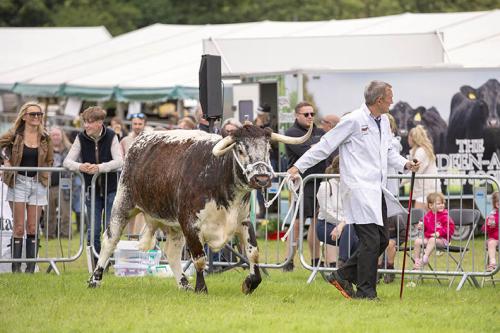 Royal Lancs Show 21072024 808