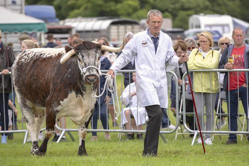 Royal Lancs Show 21072024 812