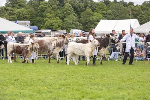 Royal Lancs Show 21072024 813