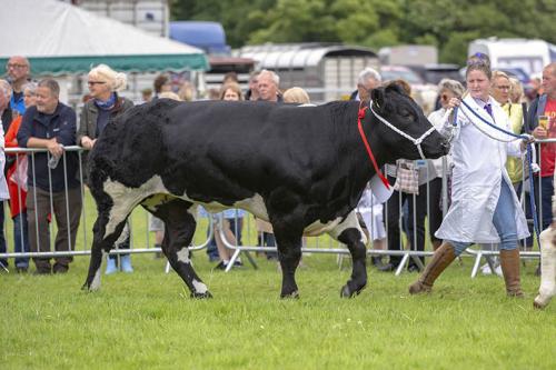 Royal Lancs Show 21072024 814