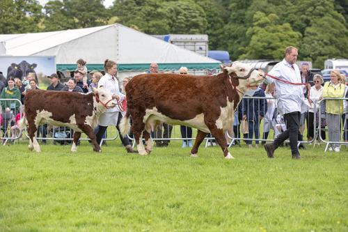 Royal Lancs Show 21072024 815