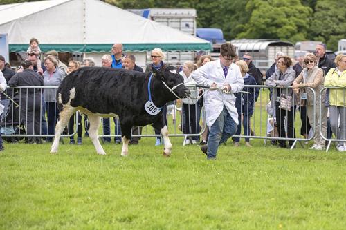 Royal Lancs Show 21072024 816
