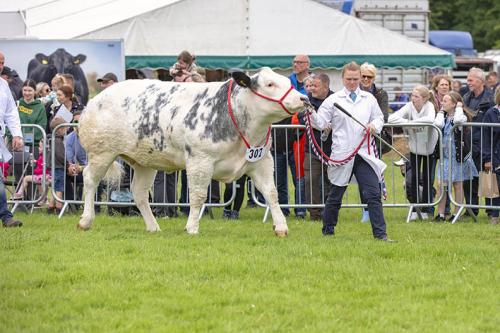 Royal Lancs Show 21072024 817