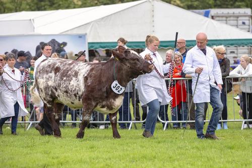 Royal Lancs Show 21072024 818