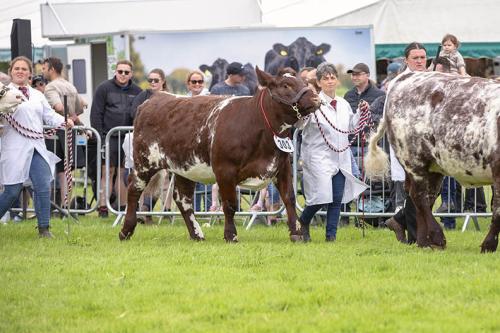 Royal Lancs Show 21072024 819