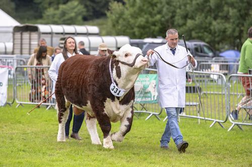 Royal Lancs Show 21072024 821