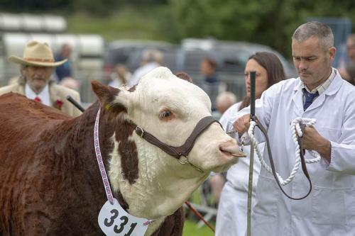 Royal Lancs Show 21072024 823