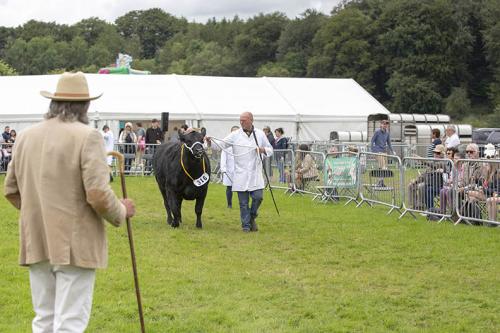 Royal Lancs Show 21072024 824
