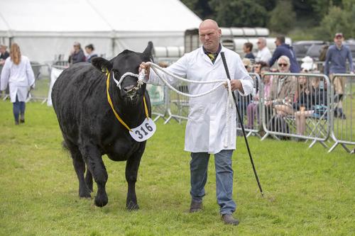 Royal Lancs Show 21072024 825