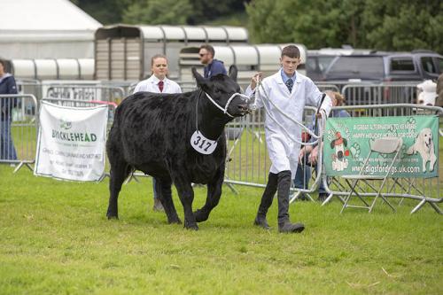 Royal Lancs Show 21072024 826