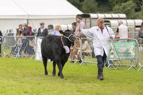 Royal Lancs Show 21072024 828