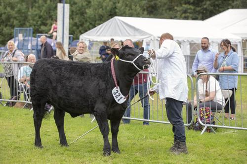 Royal Lancs Show 21072024 829