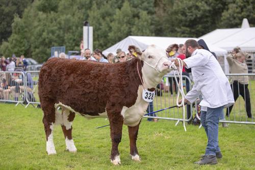 Royal Lancs Show 21072024 834