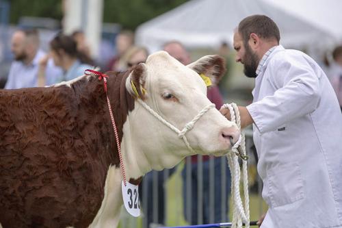 Royal Lancs Show 21072024 835