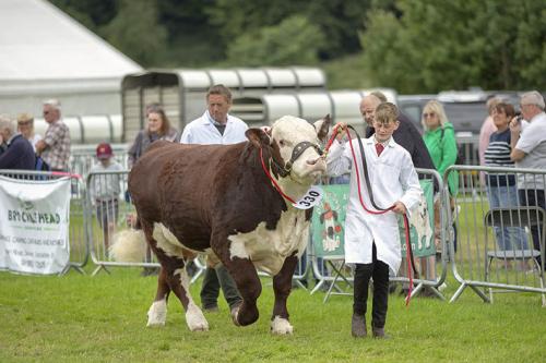 Royal Lancs Show 21072024 837