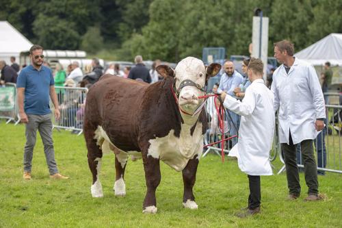 Royal Lancs Show 21072024 838